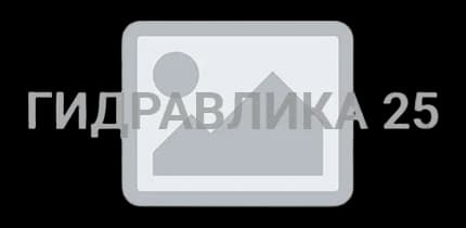 Гидроцилиндр 80.50.400.815.40-01 Магистр®